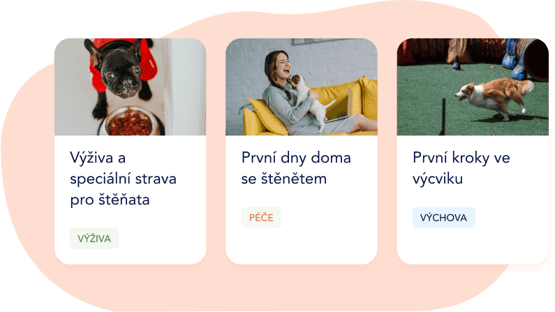 Články o péči o mazlíčky psané veterináři