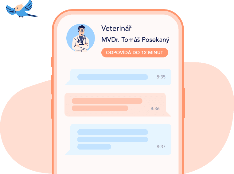 Chat s veterinářem v aplikaci tlappka