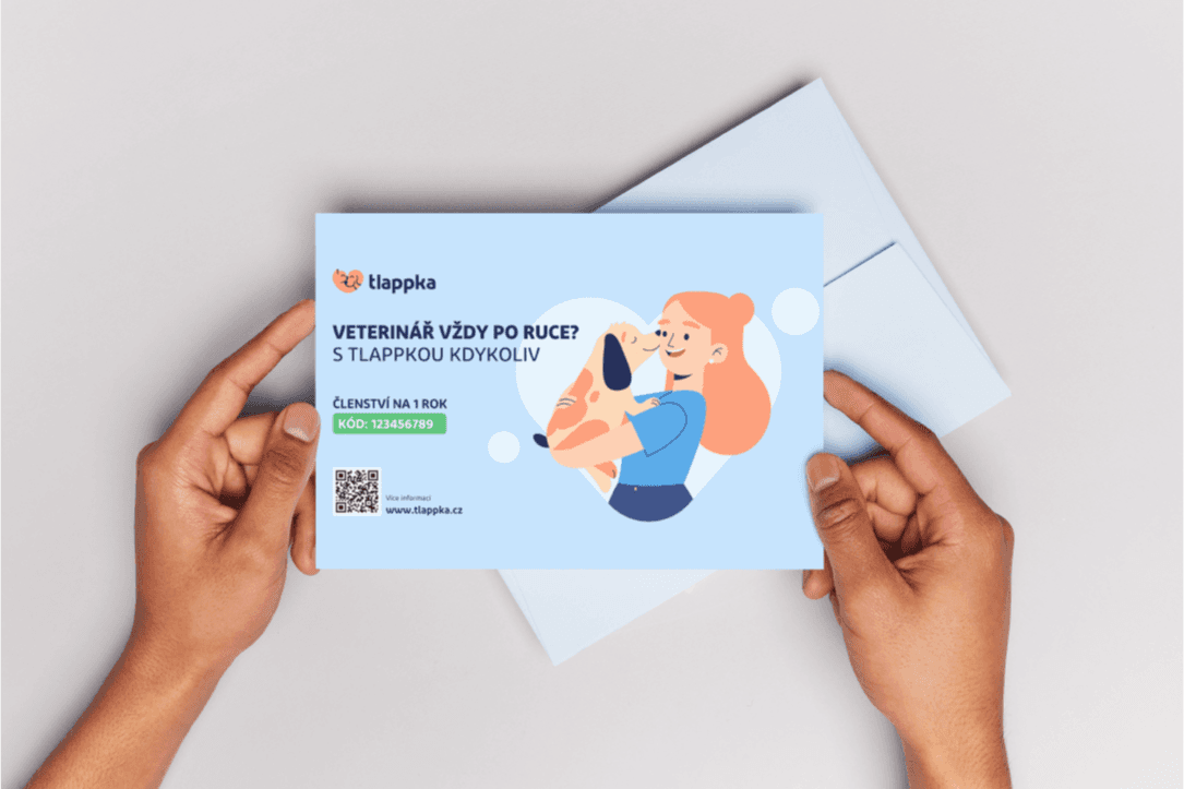 The tlappka app on a phone — gift voucher