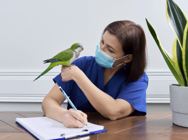 Proč je s exotickým zvířetem důležité navštěvovat veterináře specialistu